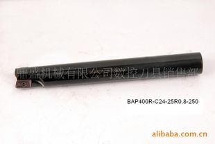 ϳBAP400R-C24-25R0.8-250