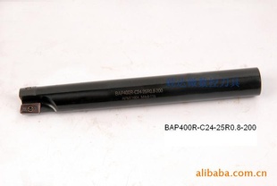 އ΢BAP300R-20R0.8-C19-200