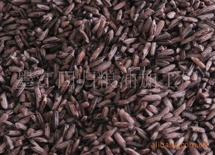 īлŴ500—ī