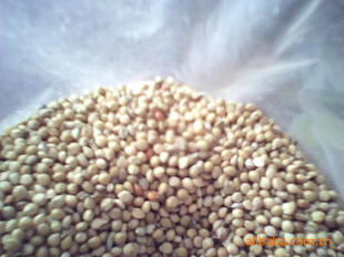 ĸƷֹ831135ӹ
