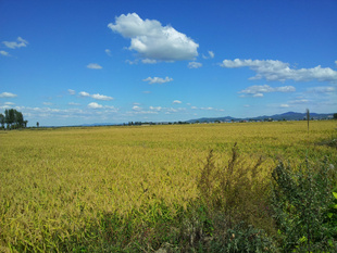 峣㵾ˮ峣2Ӻ