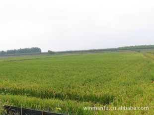 صˮ/2011羬ȵȸ