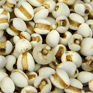 Ŵ޲250g޲С޲2012»