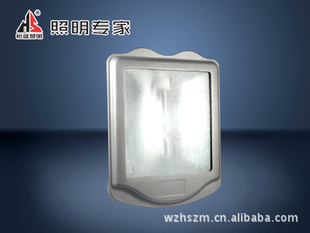 WF280ѣͨ·(±250-400W)ʢͨ·