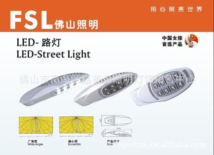 ɽLEDFSL220V80Wұ׼·