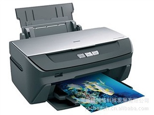 EPSONStylusPHOTOR270ӡ