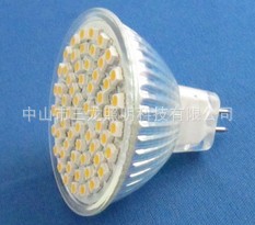 LEDƬƱСʵƱ