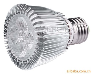 LEDPAR30PAR38PAR20ƾ