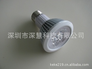 LEDPAR20׼