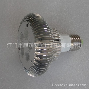 LEDPAR30ƱֱKLY-PAR30-502220V