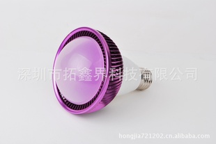 LEDɢ//5W(ͼ)