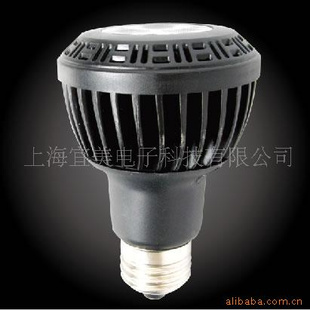 LEDPAR20LEDƱҼ۸