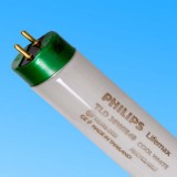 Եƹ30WTL84ƹPHILIPS׼ԴT