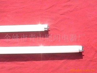 T514Wƹ
