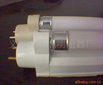 T5תT8һ廯ֱӫ