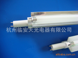 20WֱӫƹT5