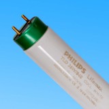 Եƹ36WTL84ƹPHILIPSֵƹ