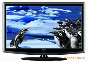 Һӻ19/ֳߴLCD