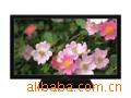 50ӵӻPS50C350B1