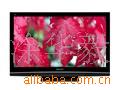 ӲʵTH-50PV80C