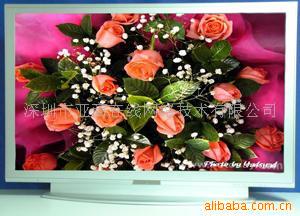 HV420P-01ָҺƽ