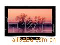 ӵTH-46PZ800C