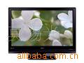 P50A101CMӵ