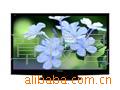 ӵTH-P42X10C