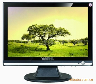 Һӻ55/ֳߴLCD