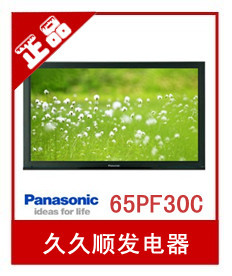 TH-65PF30C653Dʾл