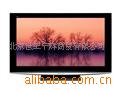 TH-46PZ800Cӵ