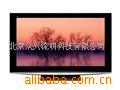 46ӵTH-46PZ800C