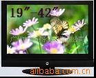 42ӵӻ