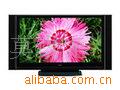P60X101Cӵ