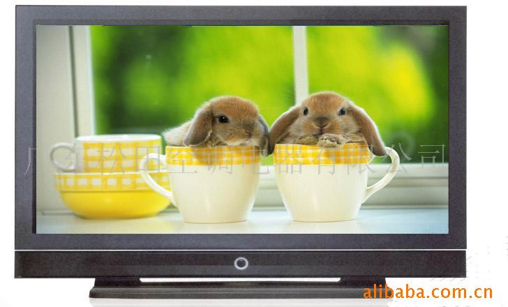 50ӵӻPDPTV,Һ