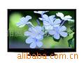 ӵTH-P42X10C