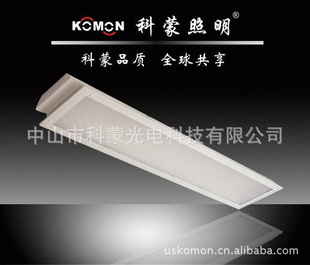 2*40W⾧̷300*1200T8Ƭϵ