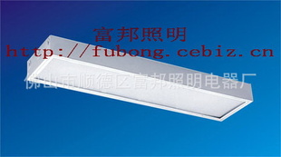 T8ʽƬ2X40W