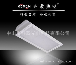 T8Ƭϵп2*20W⾧̷300*600