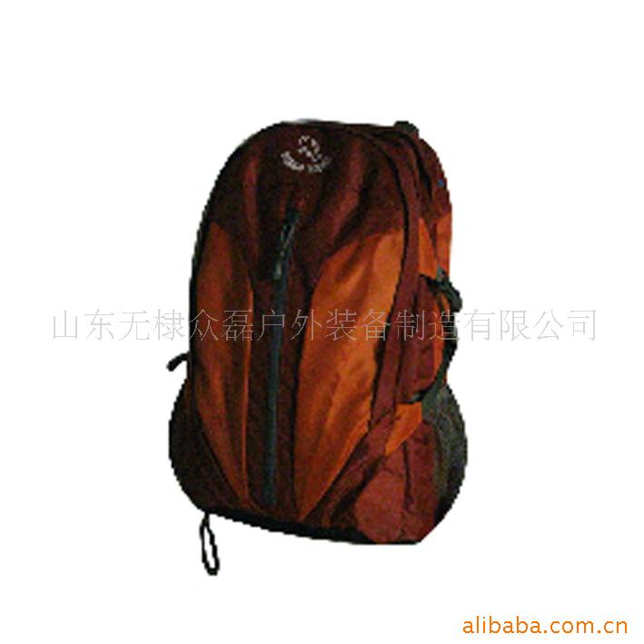25L