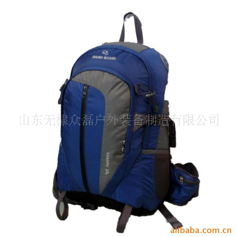 25L