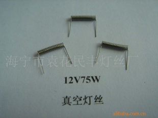 12V75Wյ˿