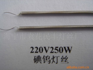 220V250Wٵ˿