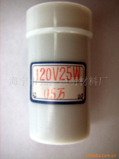 120V25W˫˿