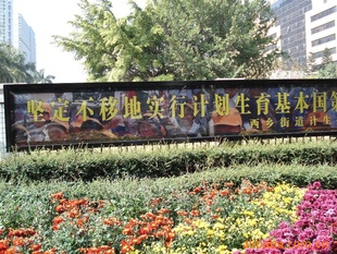 Ʒ䣨)