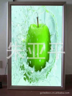 LED䣬LED䣬LEDܵ䣬LED