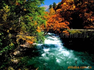 CQ—0602防水油画布
