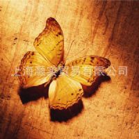 防水棉油画布(660CAC)