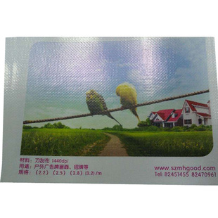 β13537649302