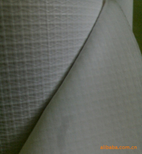 ǿ˿9*9(5050)Ʊ30S(380G)